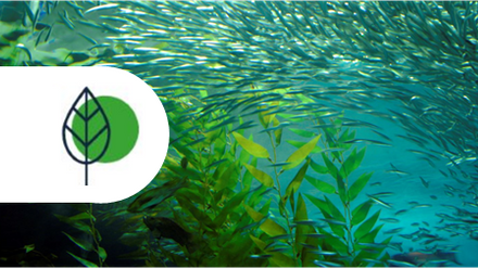 icon climate 11.png 1